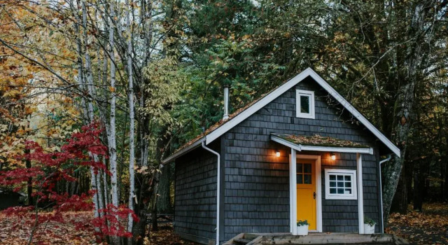 Апартаменты Deluxe Sunwolf Riverside Cabins