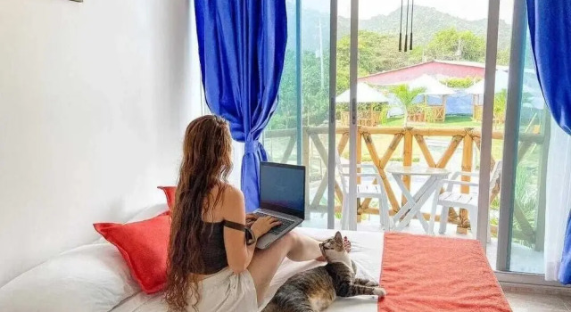 Номер Deluxe La Rivera Playa Palomino