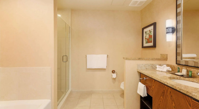 Двухместный номер Deluxe Hilton Promenade Branson Landing
