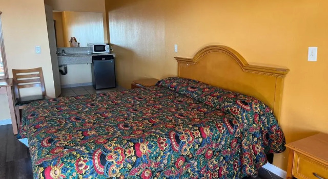 Номер Standard Palm Tree Inn
