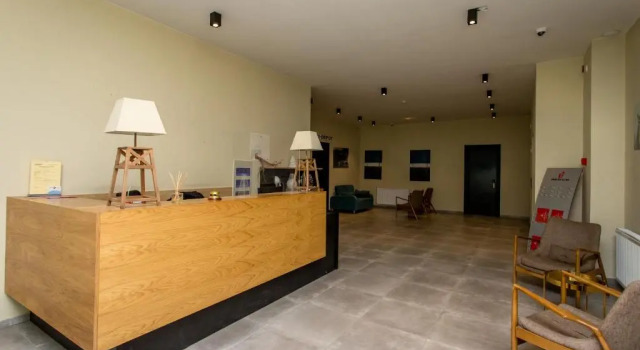 Mountain View 1BR Apartment 101 - Loft 1