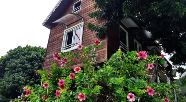 Cottage ti kaz perchée