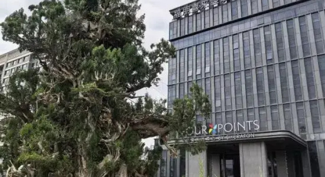 Four Points by Sheraton Zibo Zichuan, Book Hotel Zichuan Shandong