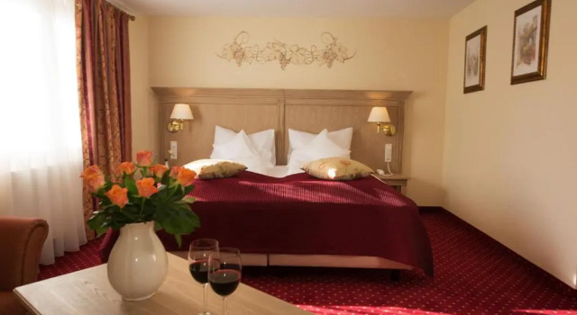 Полулюкс Hotel Rebstock
