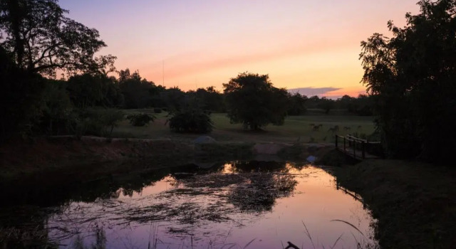 Апартаменты Kruger Park Lodge Unit 612