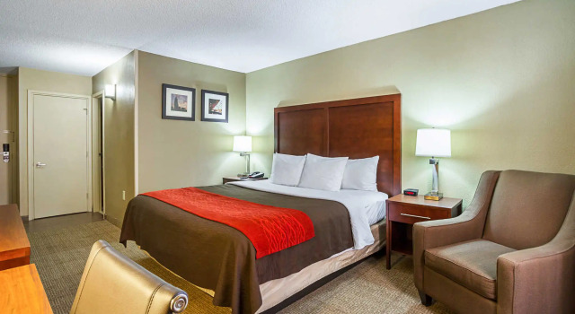 Двухместный номер Standard Comfort Inn Cleveland Downtown