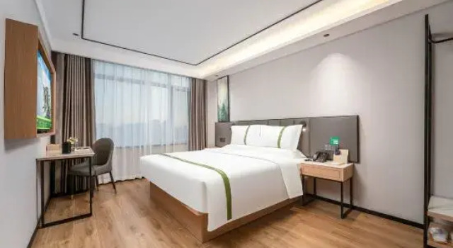 Люкс Superior GreenTree Inn
