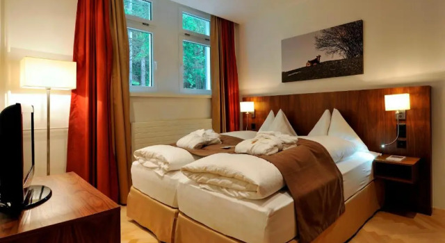 Номер Standard Waldhotel & SPA Davos - for body & soul
