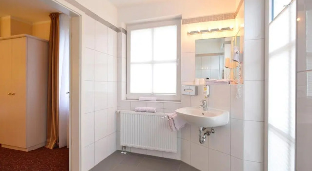 Одноместный номер Standard Hotel Behrmann