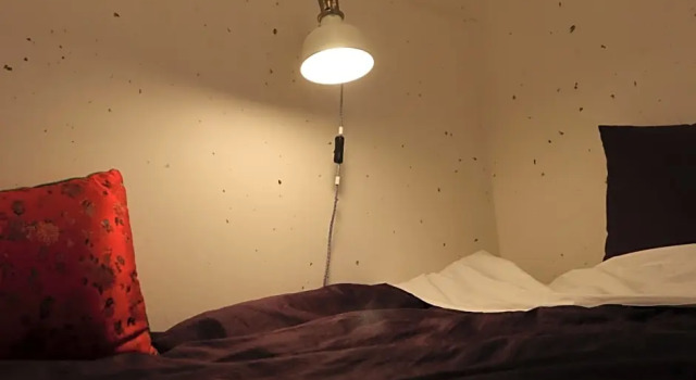 Номер Standard Eugene Hanok Stay
