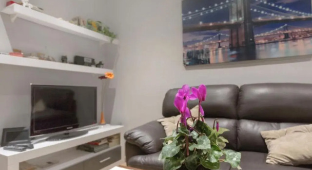 Apartamento Céntrico, Reservar Apartamento Ripoll Ripolles