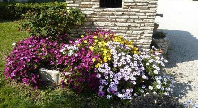 Коттедж с 2 комнатами Gîte de l'Olivier
