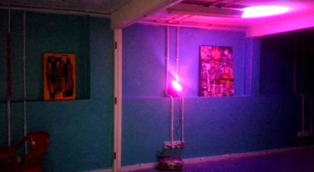 BananaZ Hostel