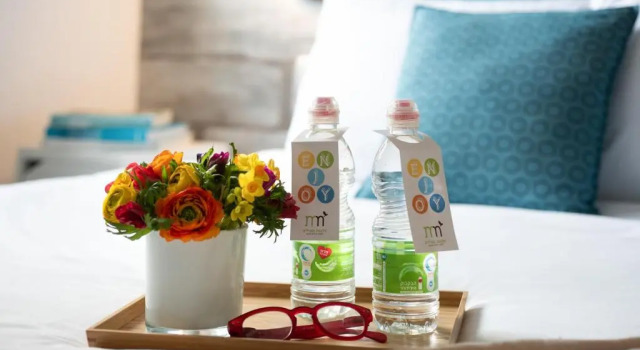 Номер Economy Metulla Travel Hotel
