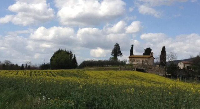 Gli Ulivi DArgento