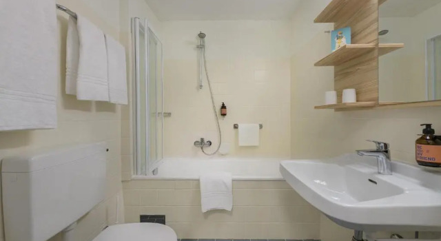 Одноместный номер Standard Hotel Blü Gastein