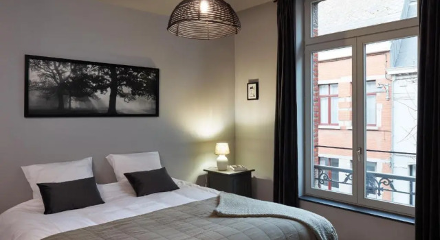 Апартаменты c 1 комнатой La Petite Histoire gîtes-appartements