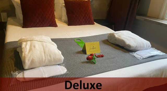 Двухместный номер Deluxe Grand Hotel Central