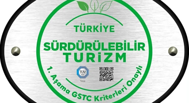 Номер Standard Bakirkoy Tashan Business & Airport Hotel