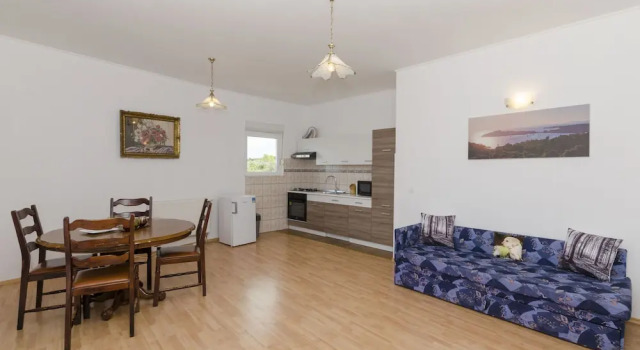 Apartment Franko