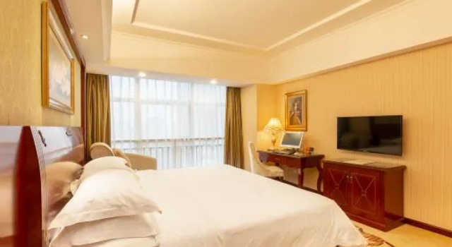 Люкс Deluxe Vienna Hotel Xinyu Fenyi South Changshan Road Branch