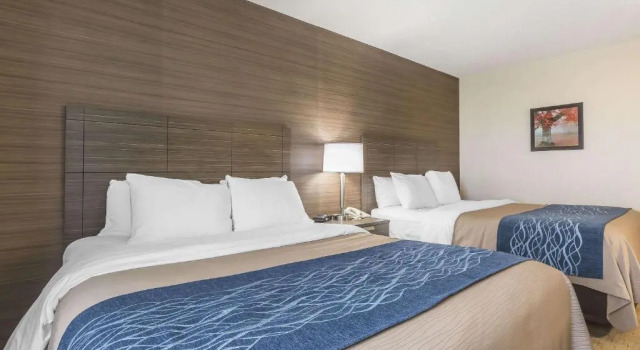 Четырёхместный номер Deluxe Цокольный этаж Comfort Inn