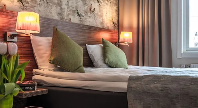 Номер Standard Naran Hotell