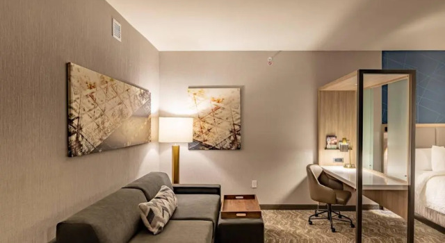 Люкс SpringHill Suites by Marriott Dallas McKinney