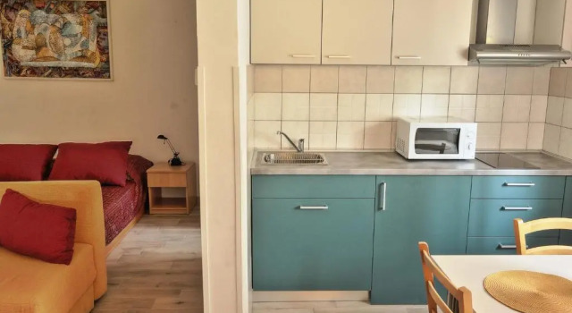 Студия с красивым видом из окна Vratovic Apartments