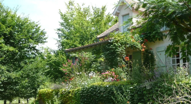 L'orée du bois