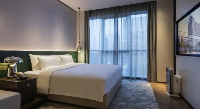 Номер Standard Novotel Xian Xixian西安西咸诺富特酒店