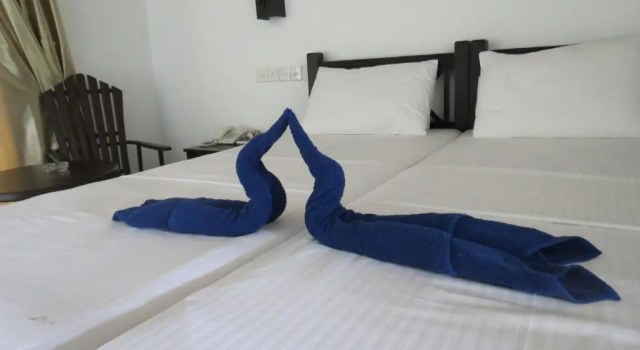 Двухместный номер Standard с видом на сад Scandinavia Hotel