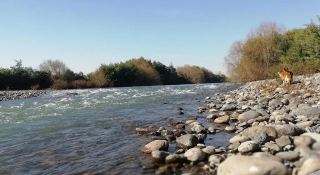 Parcela El Kaqui, Talca