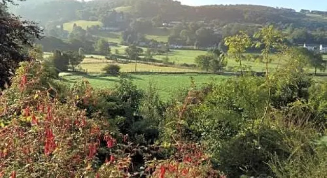 Bryncoed