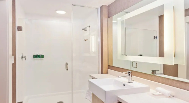 Люкс с видом на город SpringHill Suites by Marriott Montgomery Prattville/Millbrook