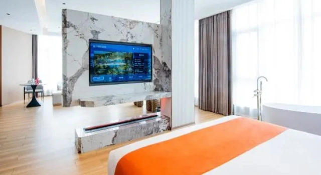 Люкс Deluxe Xuwen Wilton Intelligent Hotel