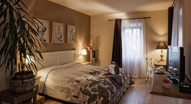 Номер Premium B&B Dvor Tacen