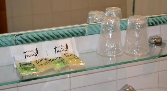 Номер Deluxe Hotel Toruño del Rocío