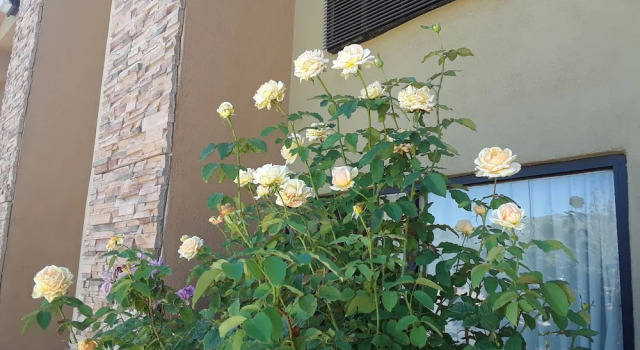 Amerstone Inn & Event Center, Reserva ahora Hotel Albuquerque 