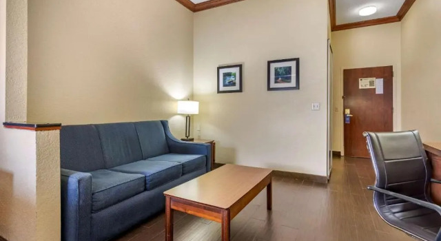 Люкс Comfort Inn & Suites Statesboro - University Area