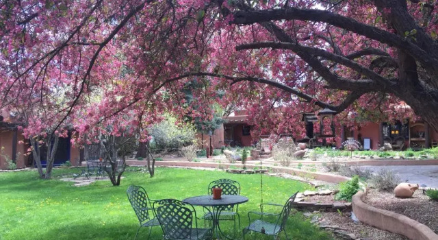 Двухместный люкс Adobe and Pines Inn Bed and Breakfast