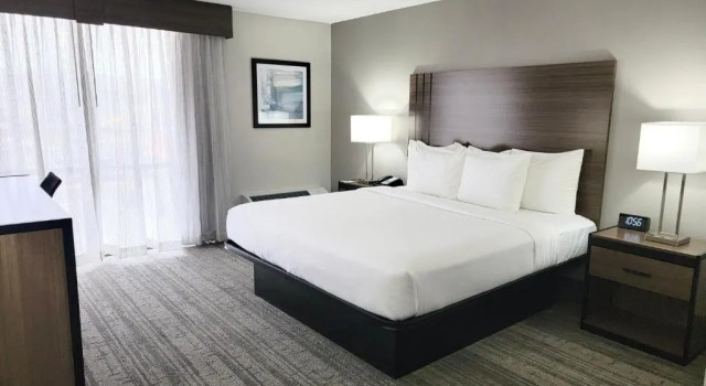 Номер Standard Best Western Plus Laurel