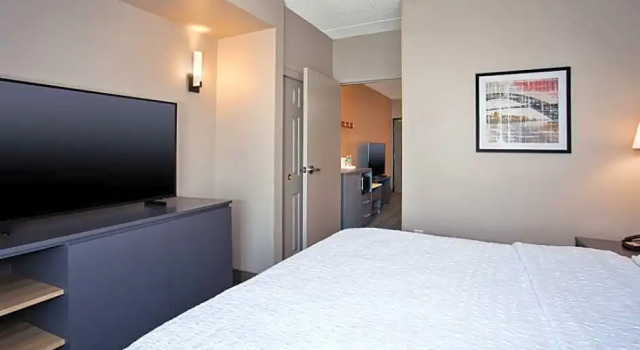 Двухместный люкс Hampton Inn & Suites By Hilton- Newark Airport Elizabeth