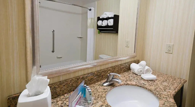 Четырёхместный номер Standard Hampton Inn Rochester - Irondequoit