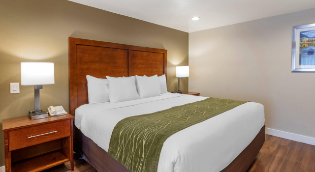Двухместный люкс Comfort Inn Bishop