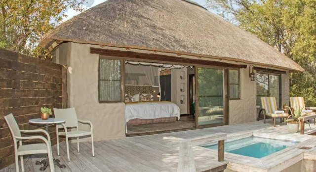 Люкс Luxury Thornybush Simbambili Lodge