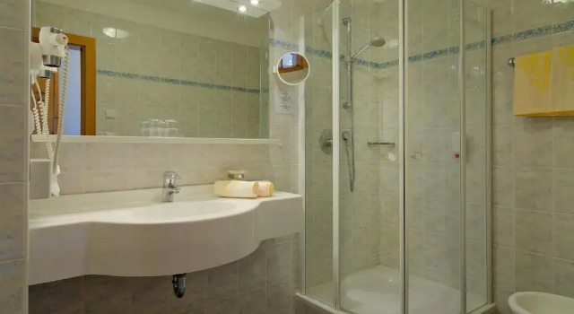 Номер Standard Granpanorama Wellnesshotel Sambergerhof Superior