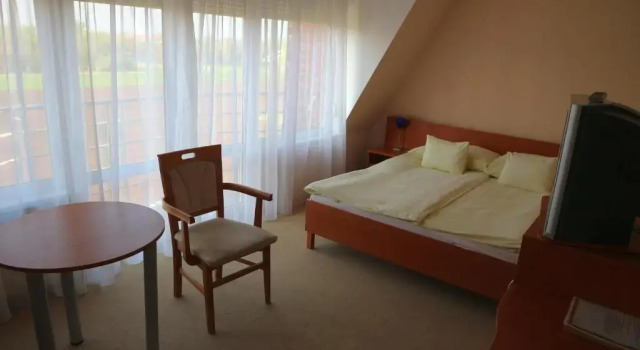 Двухместный номер Comfort с балконом Wellness Hotel-M