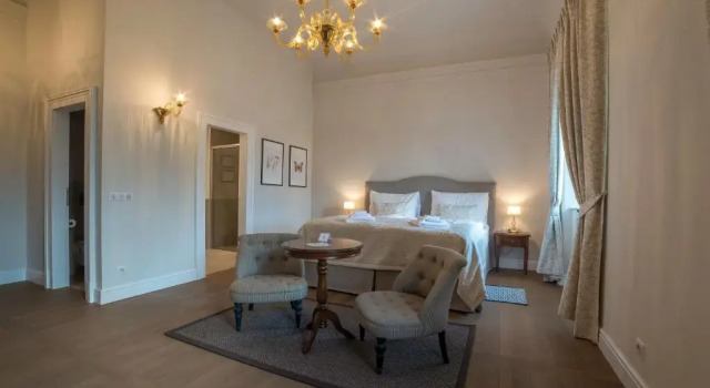 Двухместный номер Superior Hotel Château Gbeľany