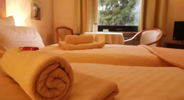Двухместный номер Standard Hotel zur Schmiede